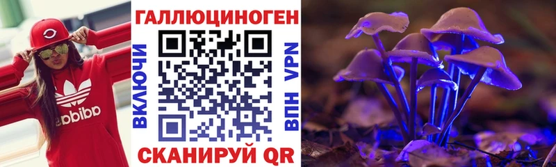 Купить  Анадырь  Псилоцибиновые грибы Psilocybine cubensis 